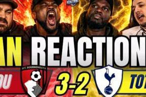 米乐m6app-热刺新援表现出色，球迷爱不释手的简单介绍