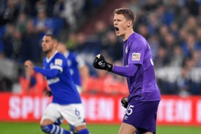 米乐m6官网-沙尔克球星