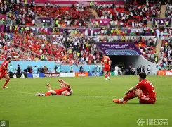 冰岛客场险胜威尔士，小组位置暂时稳定的简单介绍